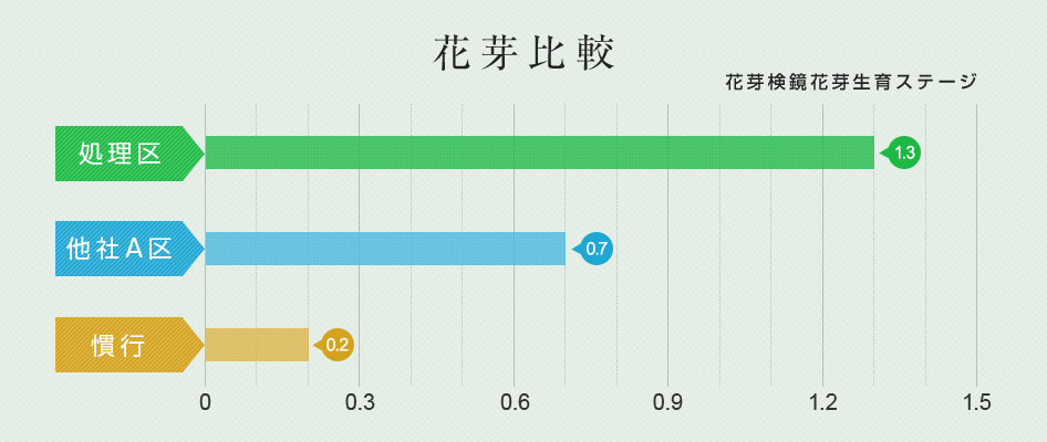 花芽検鏡花芽生育ステージ