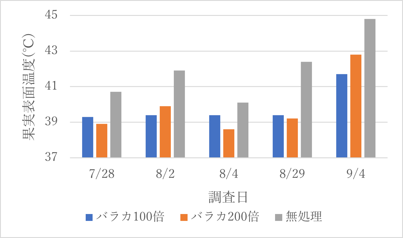 バラカの樹冠散布が果皮表面温度に及ぼす影響